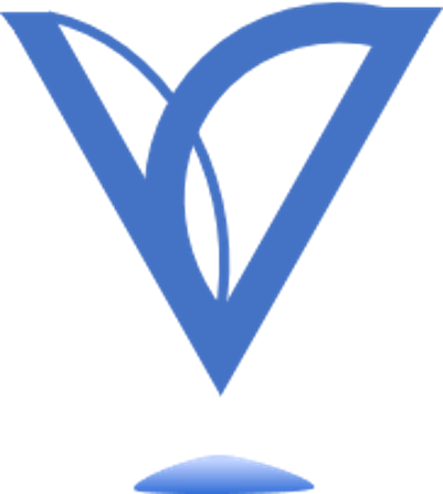 Visuals Consulting logo blue